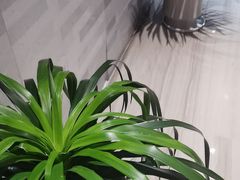 -恒记饭店·海鲜明档(淹城店)