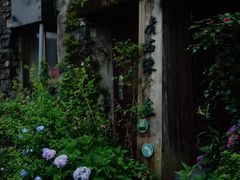 -许家山