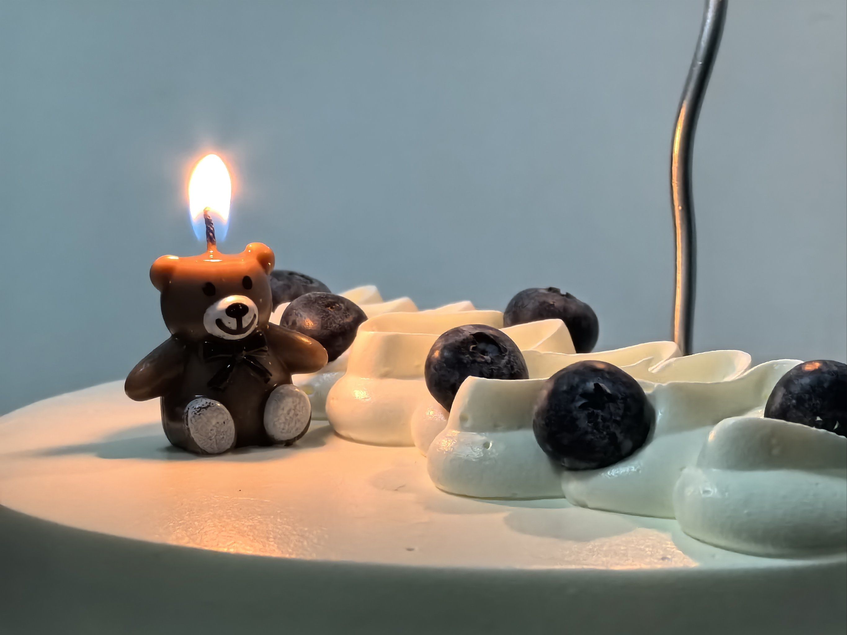 小熊头秃cake