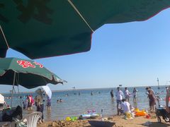 -碧海金沙