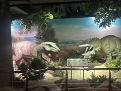 -国家自然博物馆