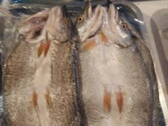 -新疆风味冷水鱼庄(友谊峰路店)