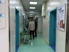 -北京观赏动物医院·24小时大型综合·猫专科·异宠专科