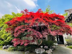 -惠山古镇·寄畅园