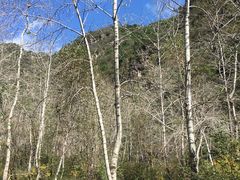 -玉渡山自然风景区