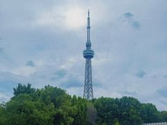 -诸城市恐龙博物馆