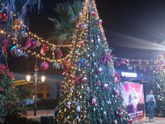 -三亚海昌梦幻海洋不夜城