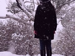 -景山公园