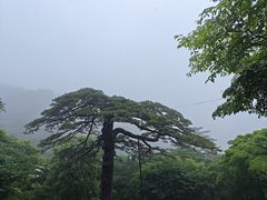 -黄山风景区