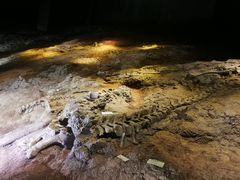 -世界恐龙谷景区