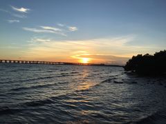 -宝安西湾红树林湿地公园