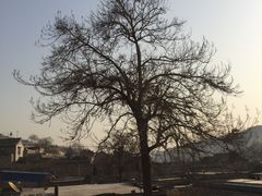 -于家石头村景区