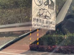 -野象谷景区