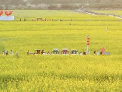 -光明小镇欢乐田园