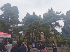 -八大关景区