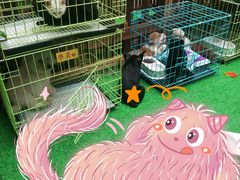 -丽达购物中心(崂山店)
