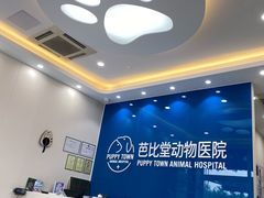 -芭比堂动物医院·CT·微创中心(新顺分院)