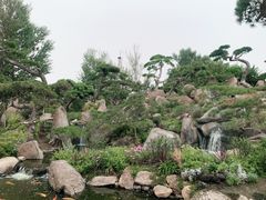 -罗红摄影艺术馆