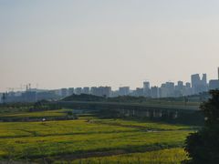 -光明小镇欢乐田园