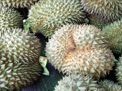 -红星农博物流中心