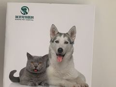 -瑞派宠物医院·内科·软组织·绝育中心(沈阳八纬路分院)