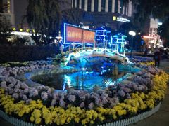 android_upload_pic-西北湖绿化广场