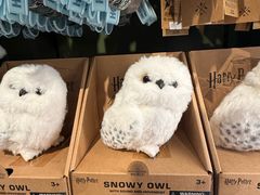 -九又四分之三站台哈利波特商店