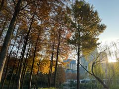 -尚贤河湿地