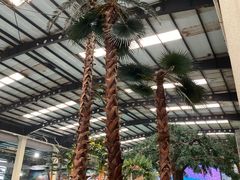 -南宫温泉水世界