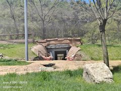 -沈阳森林动物园