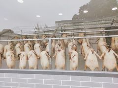 -粥旺庄(芳村店)