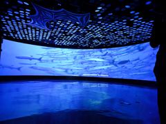 -同济大学四平路校区深海探索馆