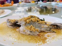 -黄埔华苑酒家(黄埔总店)