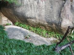 -乌山风景区