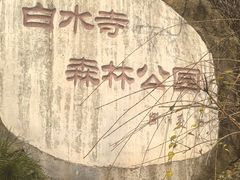 -白水寺森林公园