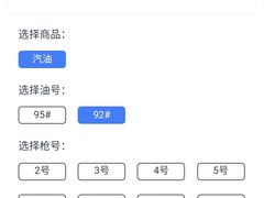 -石油朝阳加油站中化