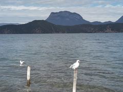 -丽江泸沽湖景区