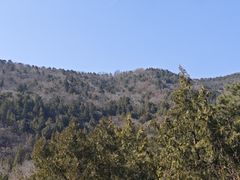 -北京十三陵国家森林公园蟒山景区