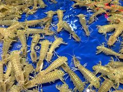 -三亚火车头万人海鲜广场