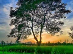 -汉长安城未央宫国家考古遗址公园