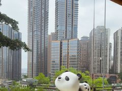 -嫩芽 ·地道重庆菜(十八梯露台夜景店)