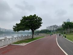 -南宁南湖公园