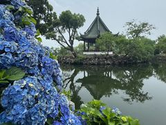 -无锡蠡湖国家湿地公园-蠡园