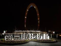 -南京眼步行桥