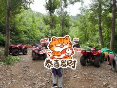 -欢乐松鼠谷