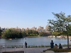 -新江湾城公园