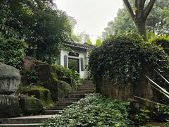 -广州兰圃