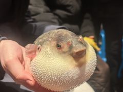 -永安鱼庄·镇江菜(东吴路店)