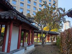 -亮马河饭店翠雅咖啡厅