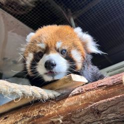 -Zoolung Zoolung动物主题公园(海信广场店)